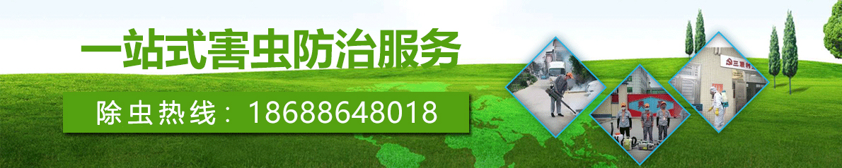 廣惠除蟲banner圖1 廣惠除蟲banner圖1